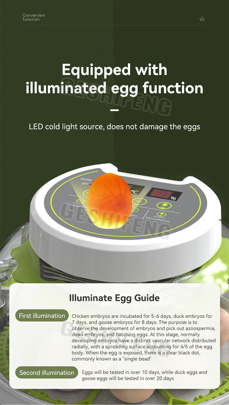 Egg Incubator(圆形孵蛋器)