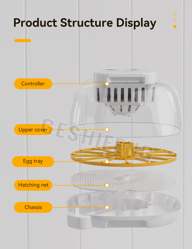 Egg Incubator(孵蛋器)