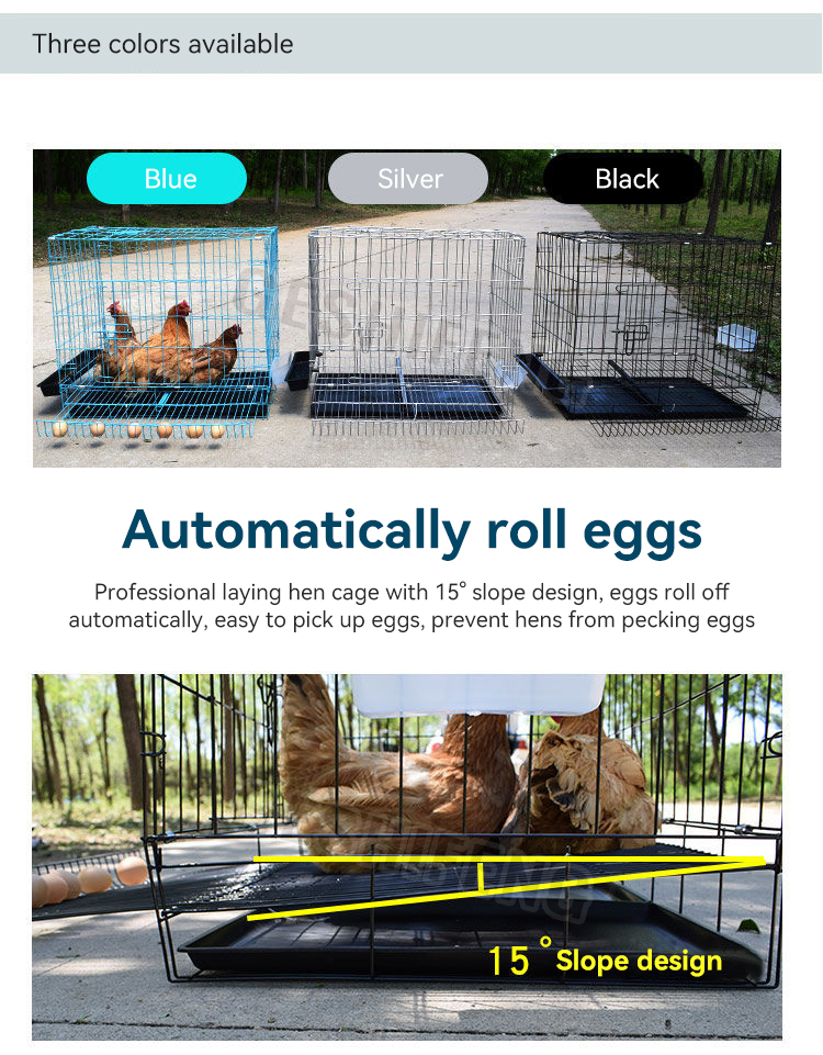 Egg tray cage(折叠鸡笼)