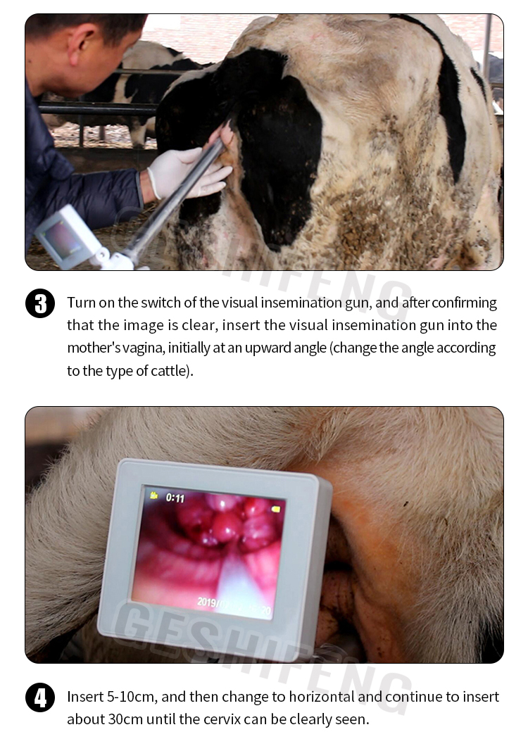 Artificial insemination gun for cattle(牛用人工授精枪)