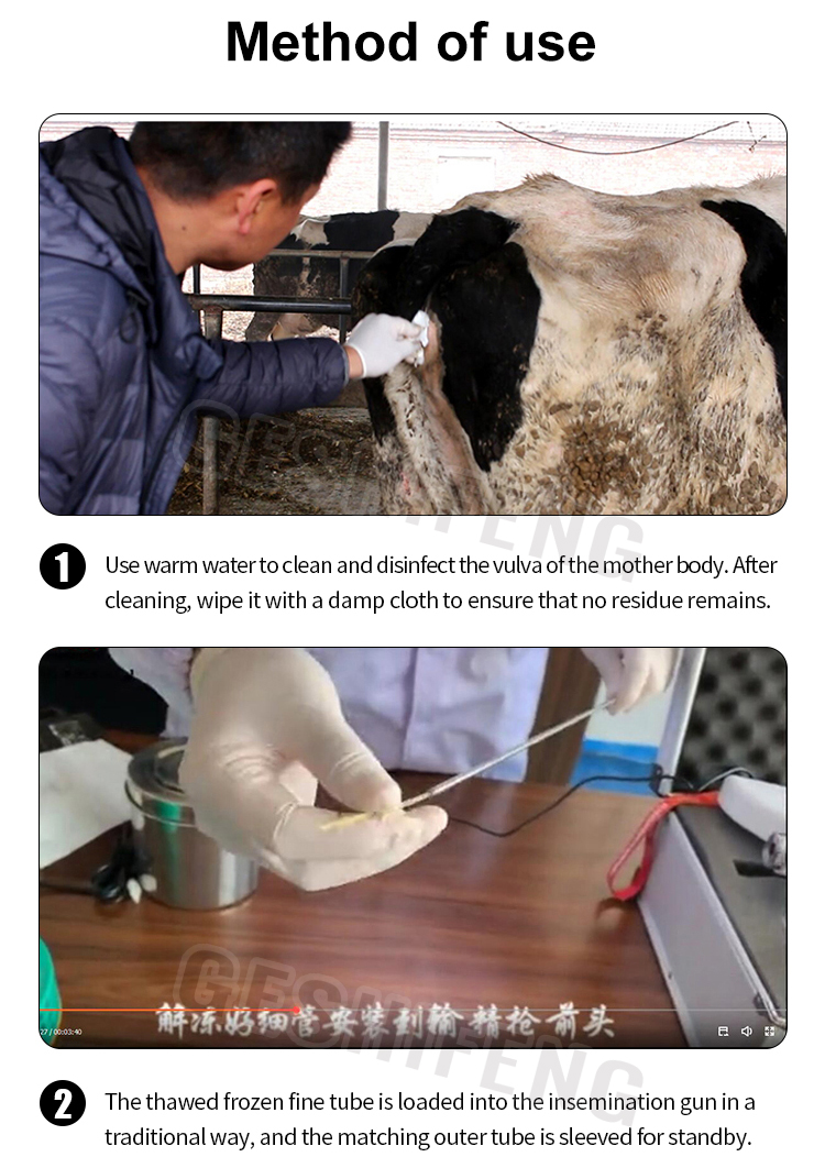 Artificial insemination gun for cattle(牛用人工授精枪)