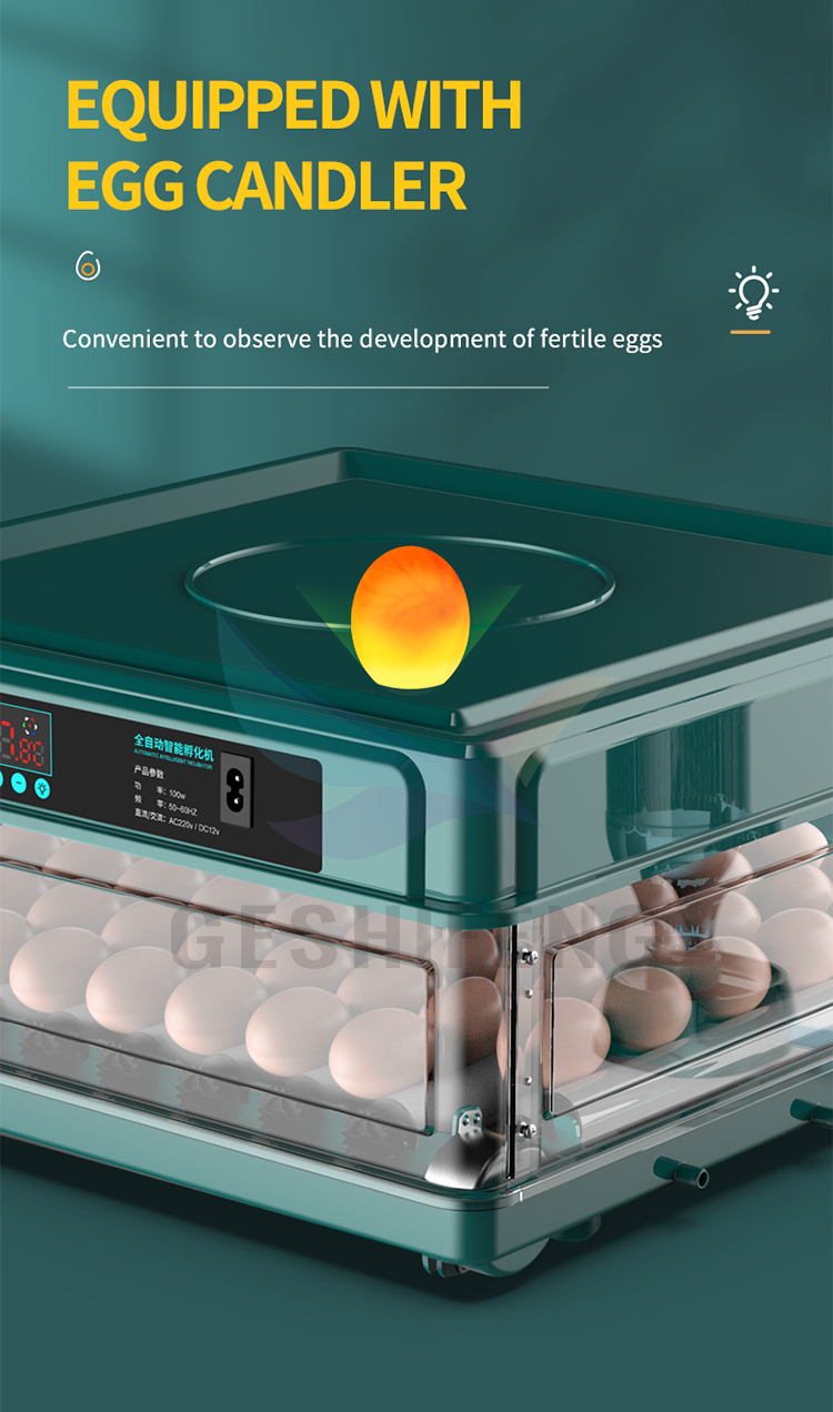 Egg Incubator(孵蛋器)