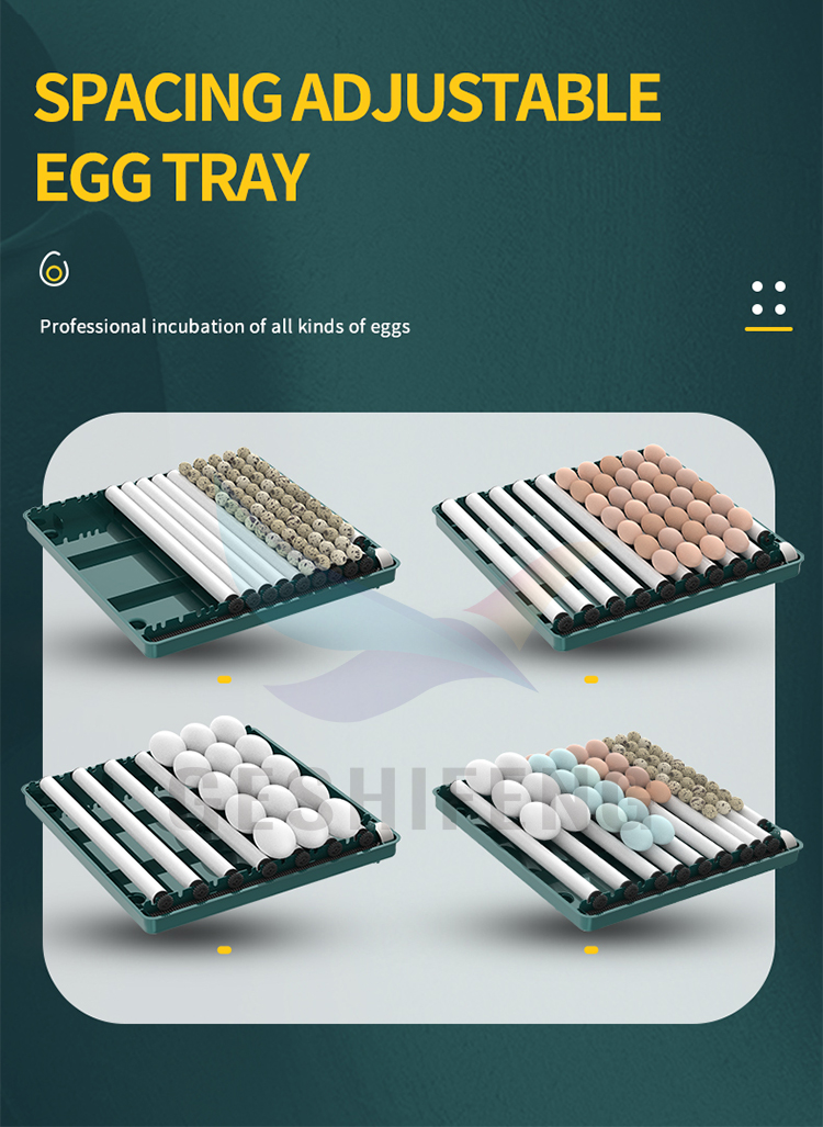 Egg Incubator(孵蛋器)