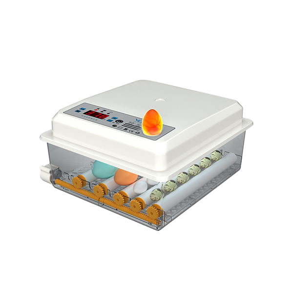 Product 5