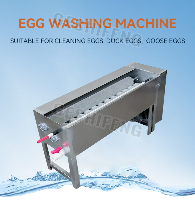 Automatic egg washing machine(鸡蛋清洗机)