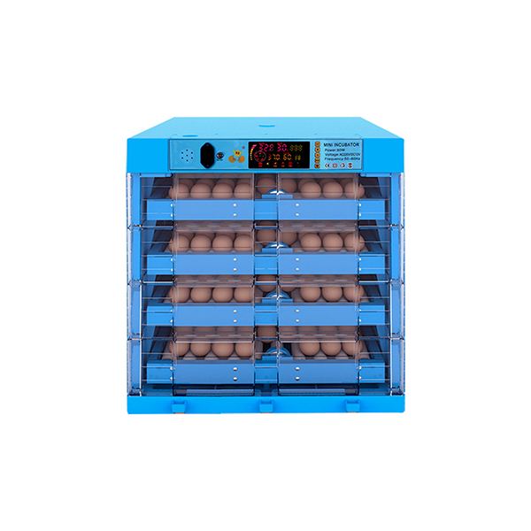 Product 5