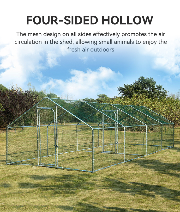 Outdoor chicken cage(鸡笼)