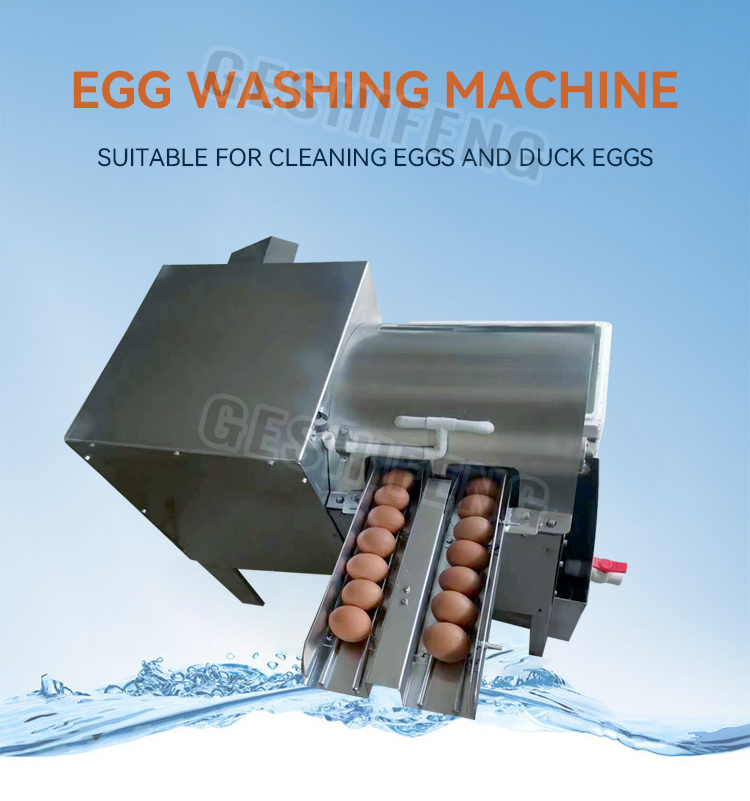 Automatic egg washing machine(双排鸡蛋清洗机)