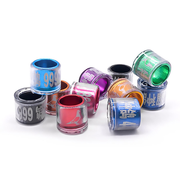 Product 5