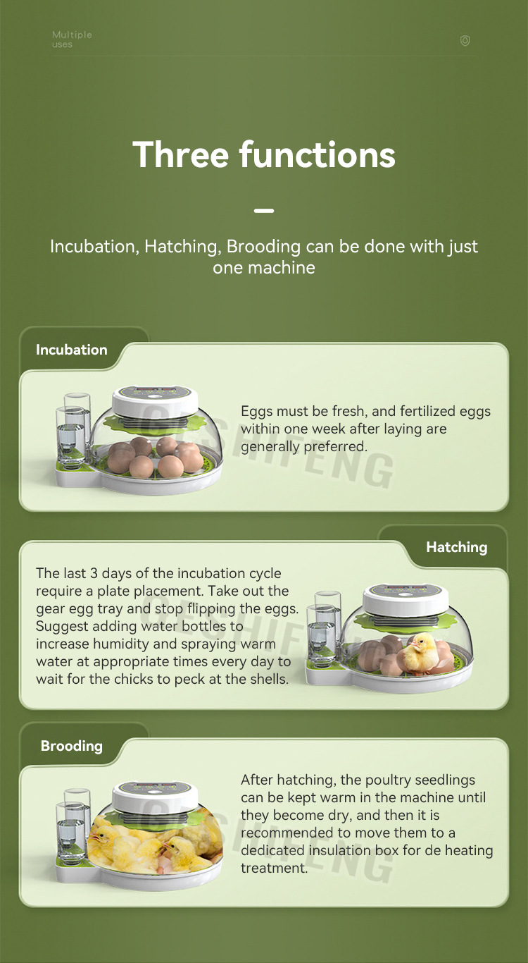 Egg Incubator(圆形孵蛋器)
