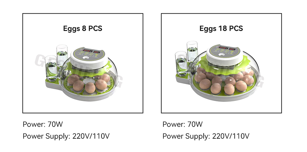 Egg Incubator(圆形孵蛋器)