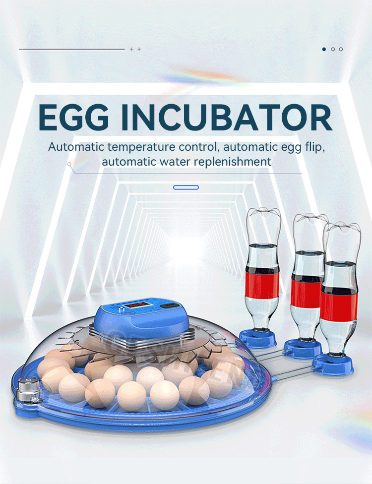 Egg Incubator(小飞碟孵蛋器)
