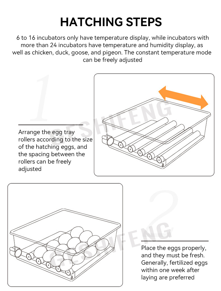 Egg Incubator(孵蛋器)