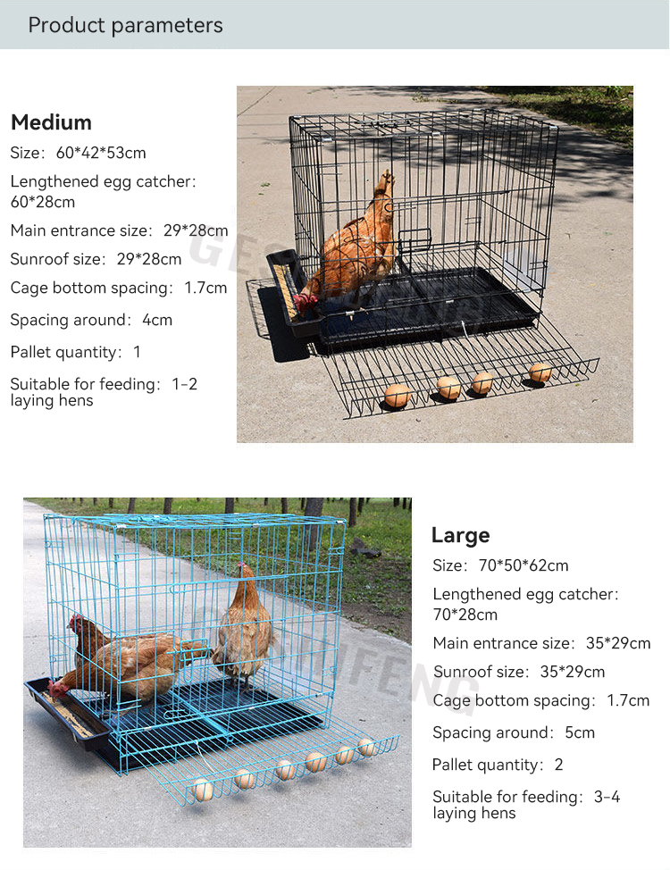 Egg tray cage(折叠鸡笼)