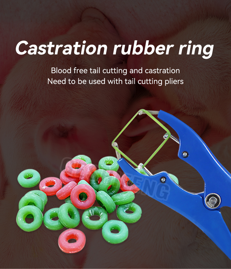 Castration rubber ring（断尾圈）