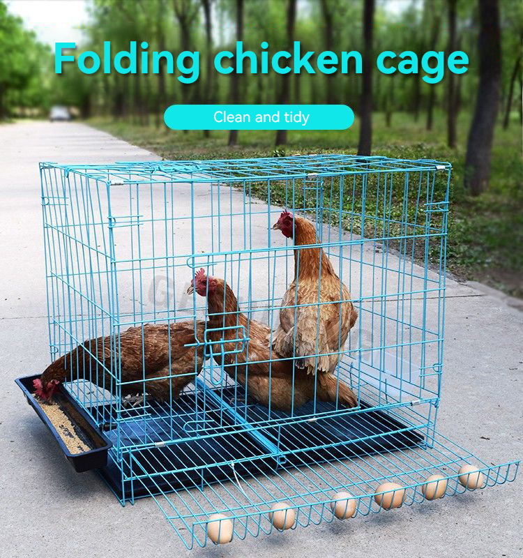 Egg tray cage(折叠鸡笼)