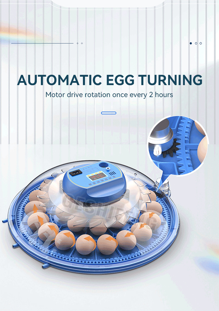 Egg Incubator(小飞碟孵蛋器)