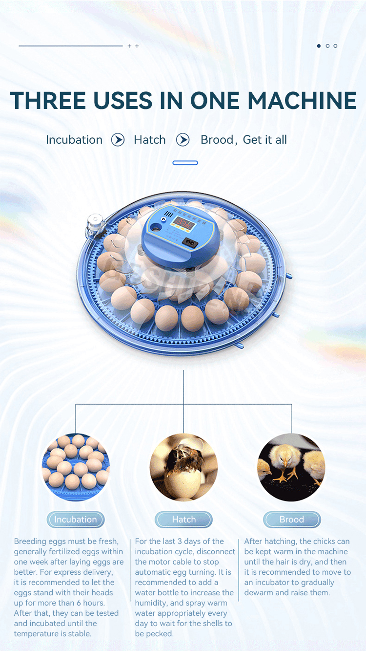 Egg Incubator(小飞碟孵蛋器)