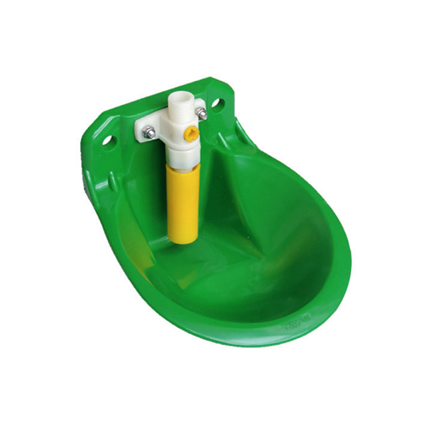 Product 5