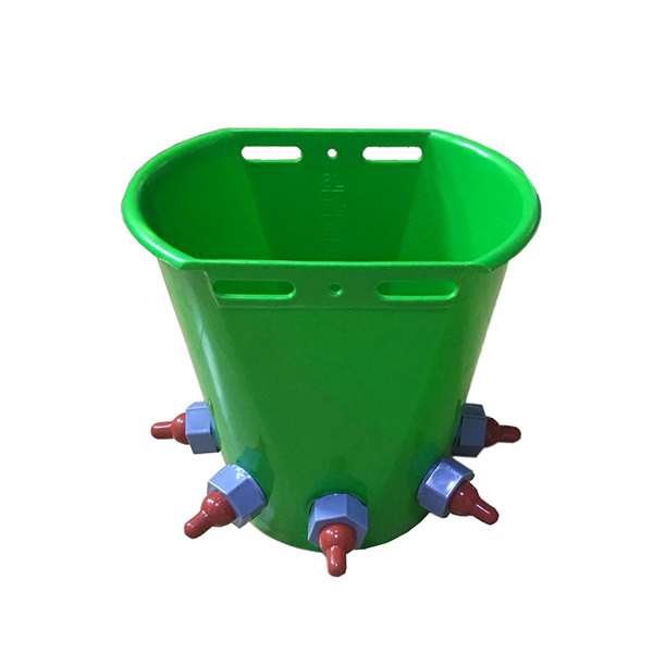 Product 5