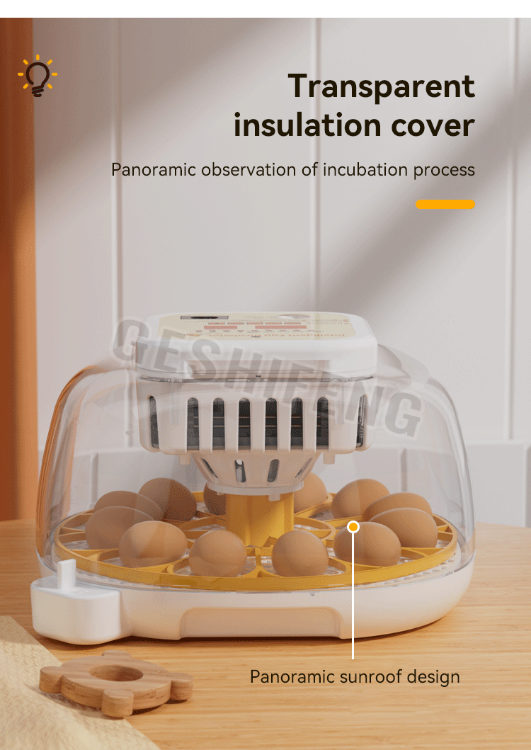 Egg Incubator(孵蛋器)