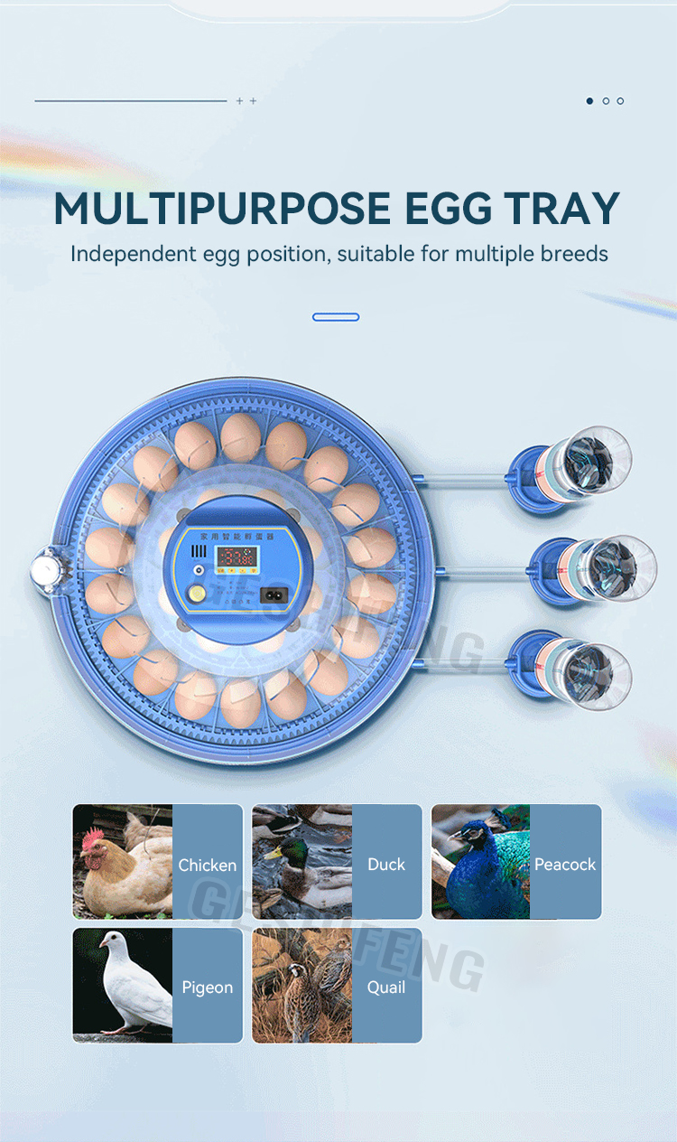 Egg Incubator(小飞碟孵蛋器)