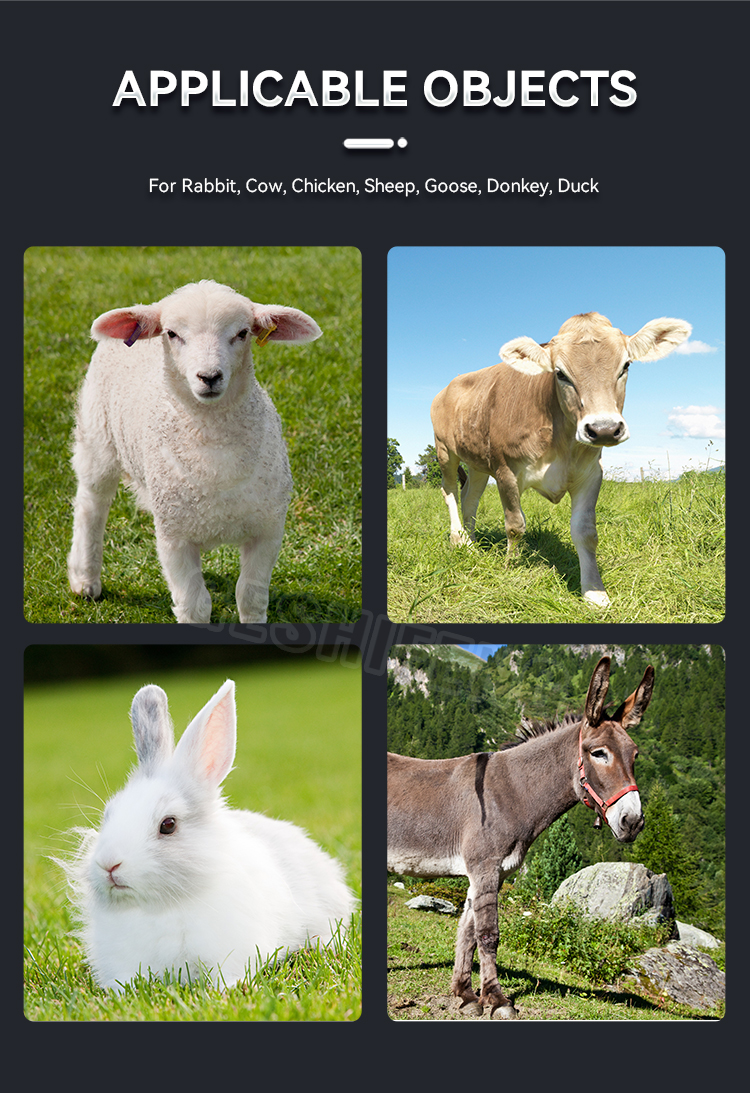 Bottle for sheep(羊奶瓶)