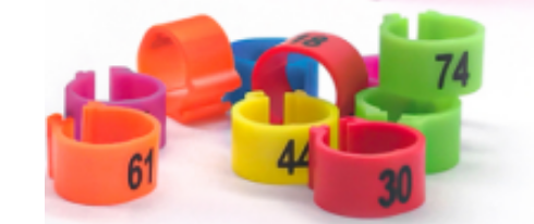 Product 5