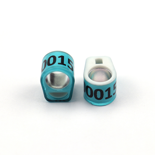 Product 5
