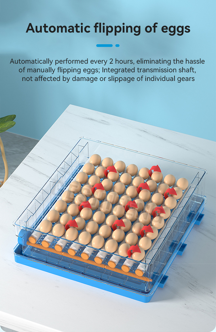 Egg Incubator(孵蛋器)