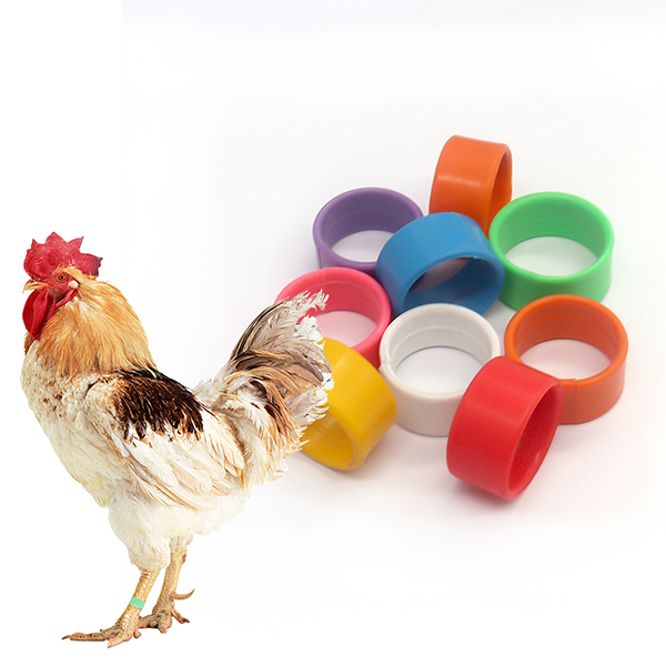Product 5