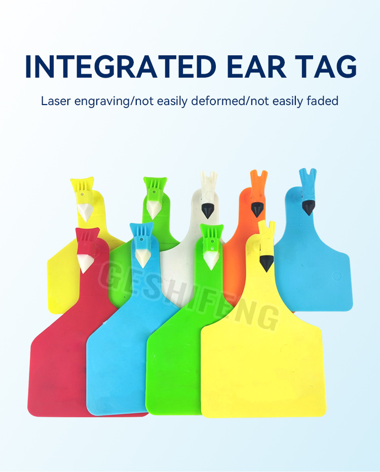 TPU Conjoined ear tag(一体式耳标)