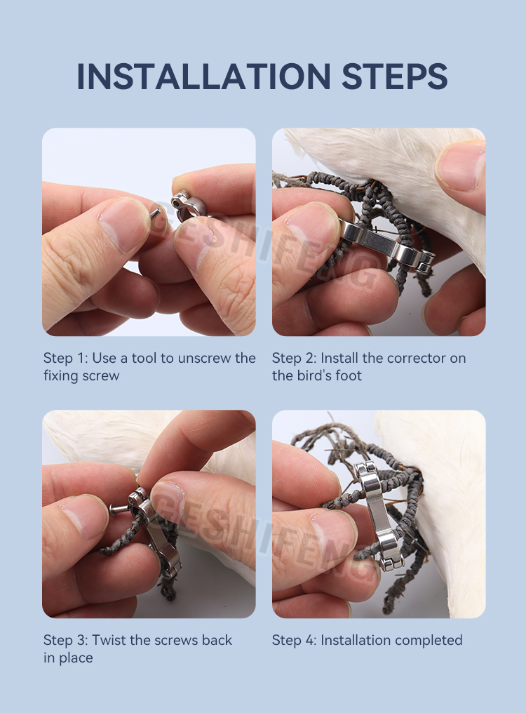 Stainless Steel Parrot corrector(不锈钢鹦鹉矫正环)