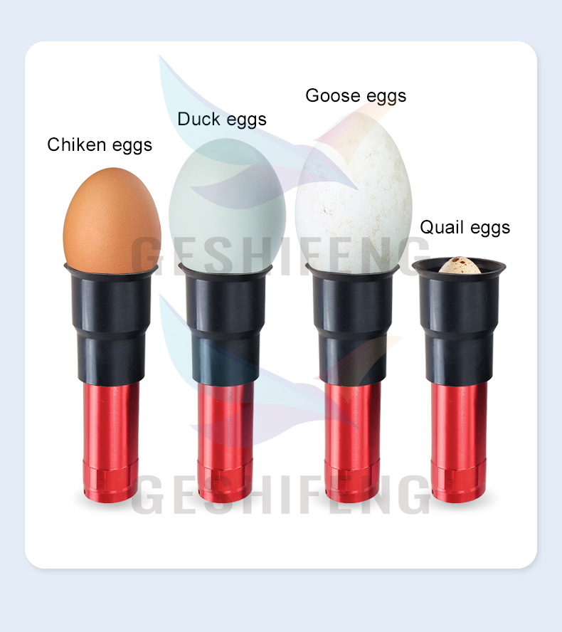 Egg Lighter(照蛋器)