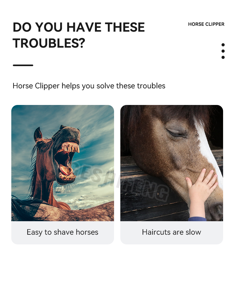 Horse Clipper(马毛剪)