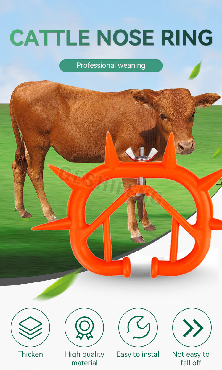 Cattle Nose Ring(牛鼻刺)