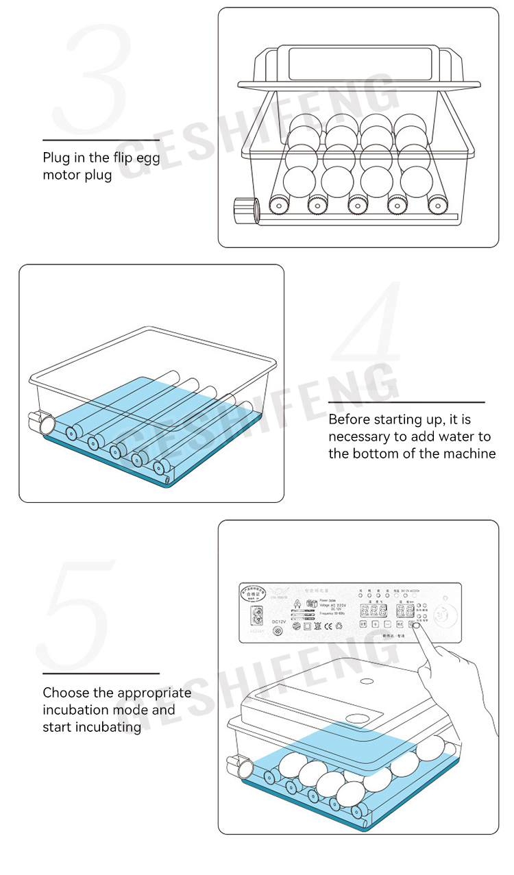 Egg Incubator(孵蛋器)
