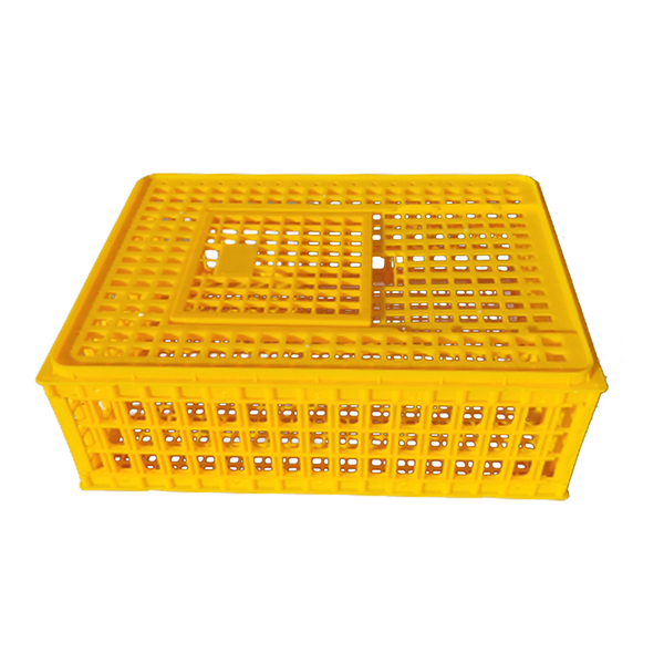 Product 5