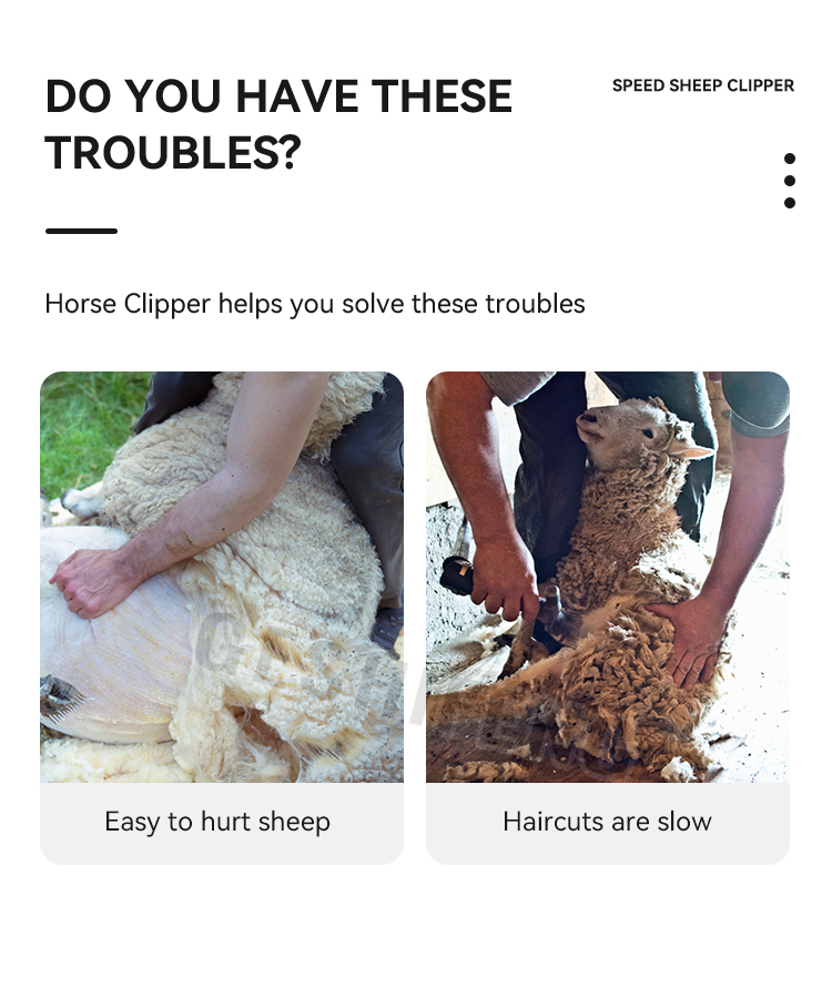Sheep Clipper(电动羊毛剪)