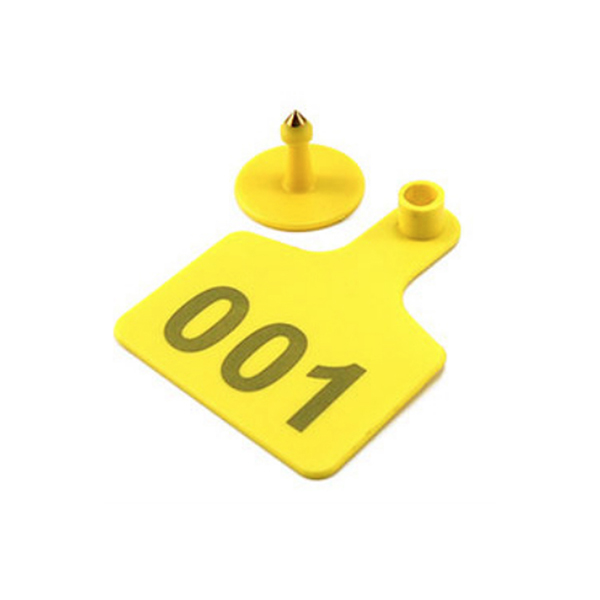 Product 5
