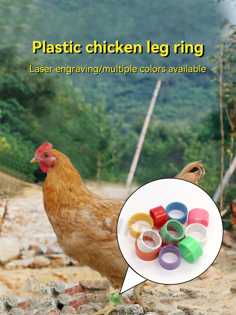Plastic chicken ring(切片式鸡脚环)