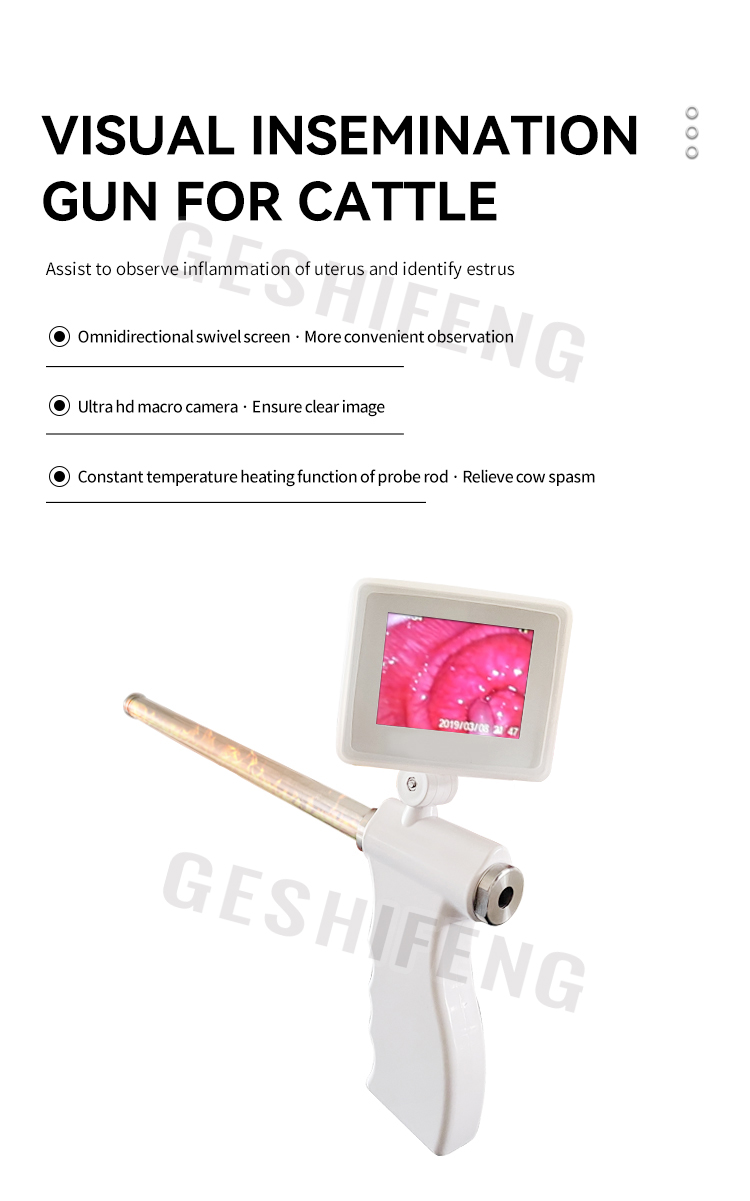Artificial insemination gun for cattle(牛用人工授精枪)