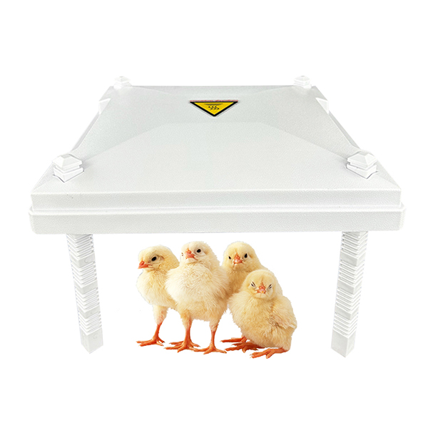 Product 5