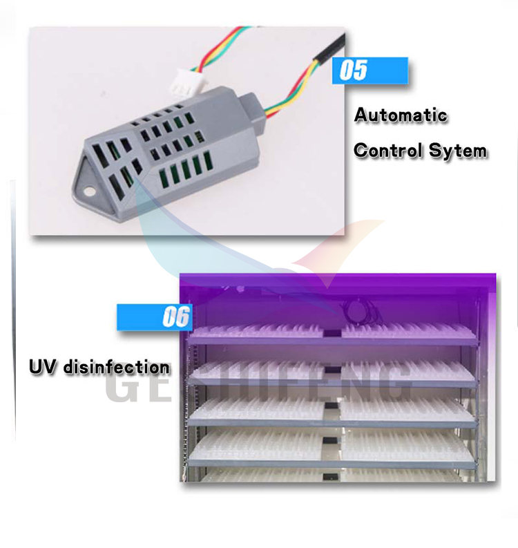 Egg Incubators(孵蛋器)