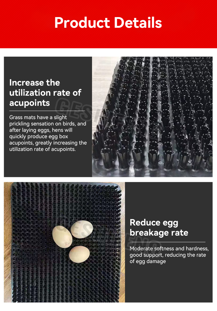 Plastic chicken nest mat(塑料鸡窝垫)