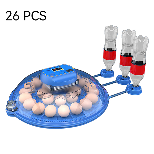 Product 5