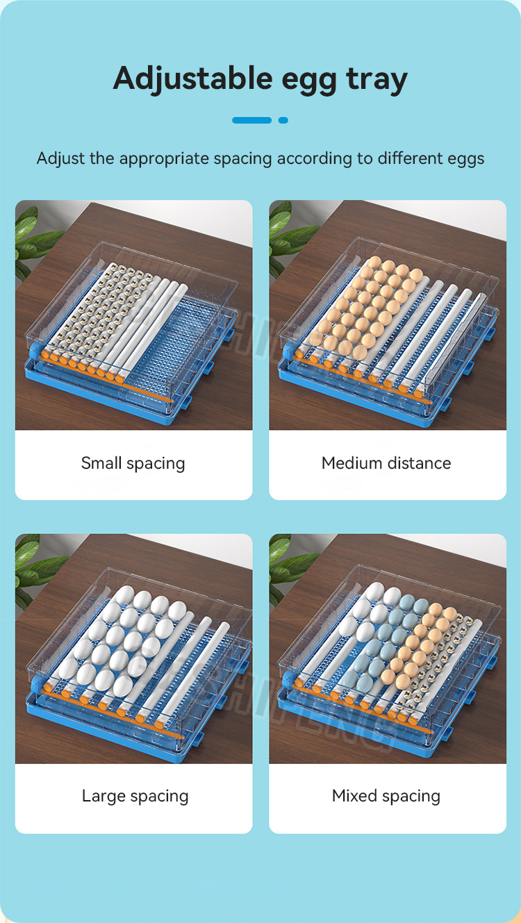 Egg Incubator(孵蛋器)