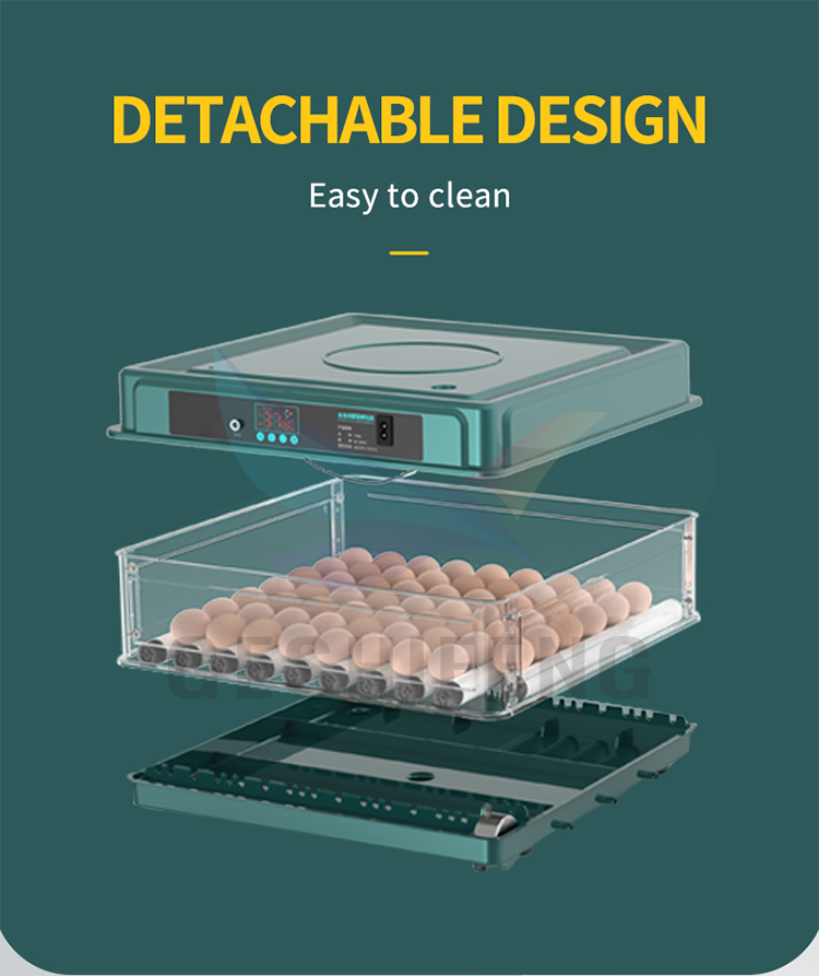 Egg Incubator(孵蛋器)