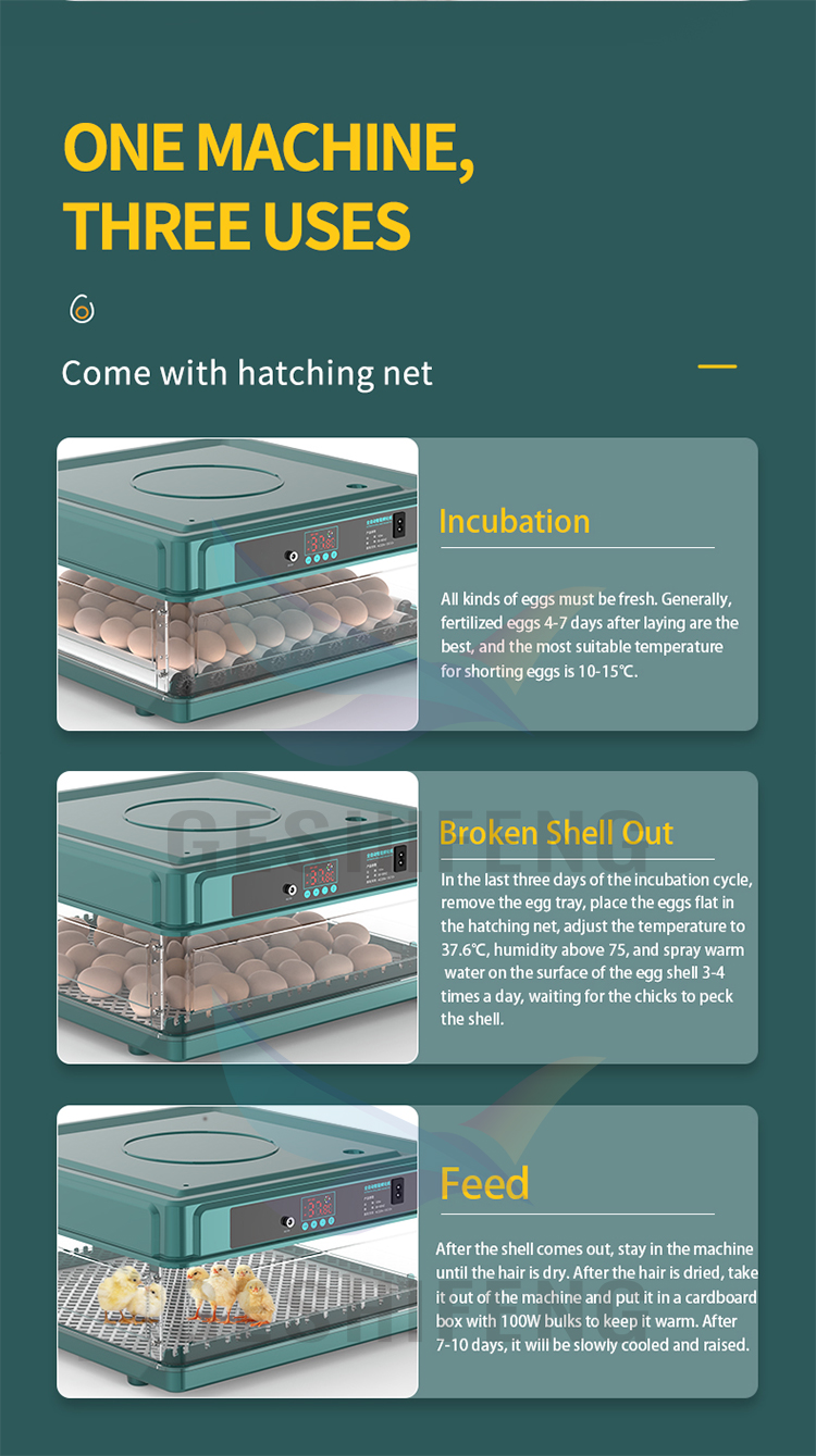 Egg Incubator(孵蛋器)