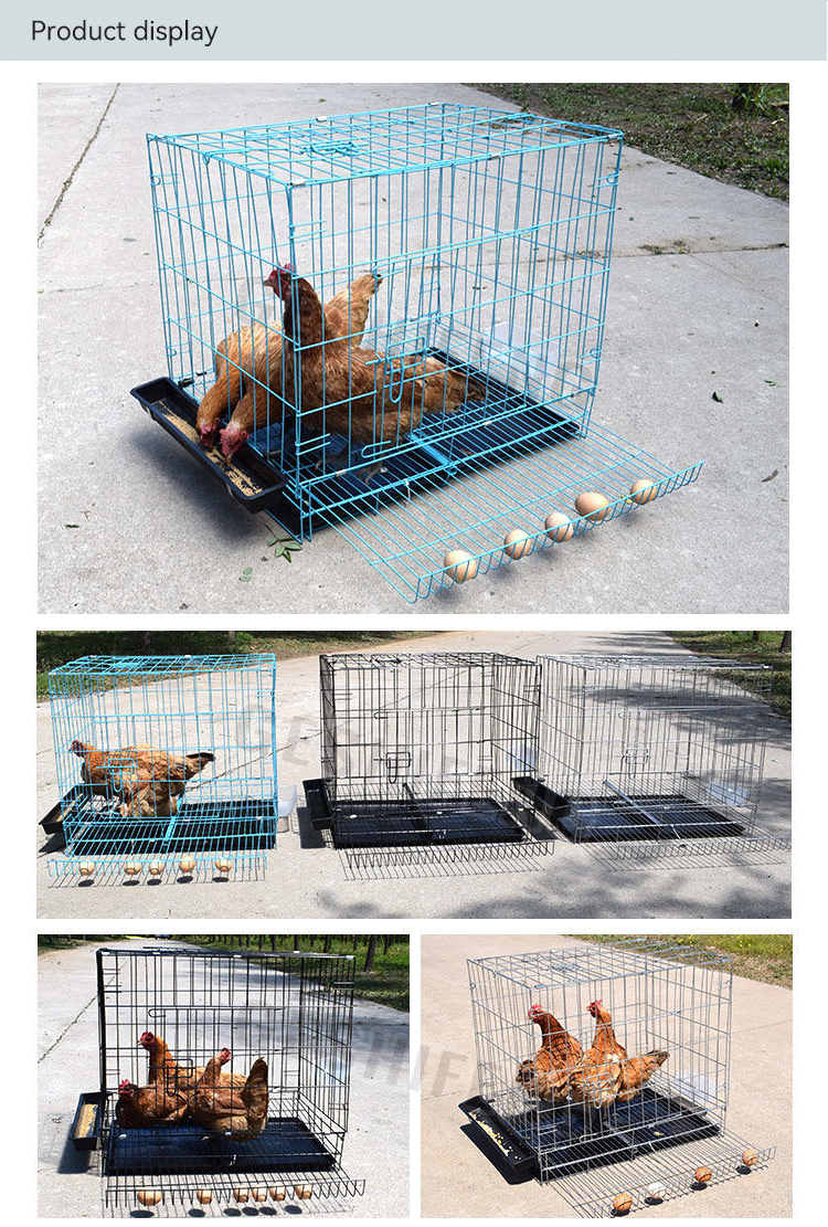 Egg tray cage(折叠鸡笼)